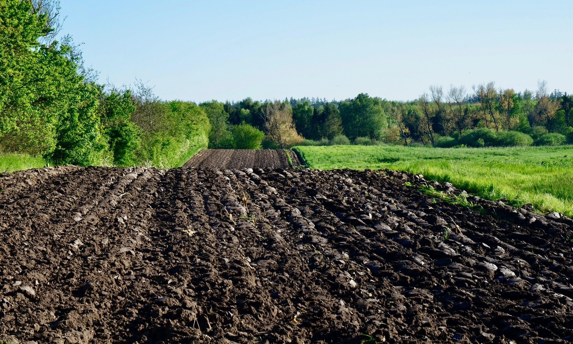 fields-3442666-1920